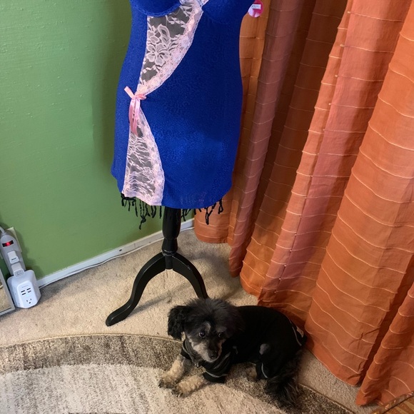 Lingerie-Nature’s intimates sheer lingerie,blue/pink, 36b - Picture 8 of 16